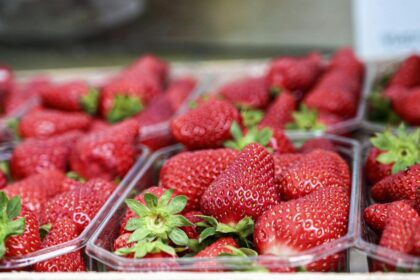 strawberries market deception