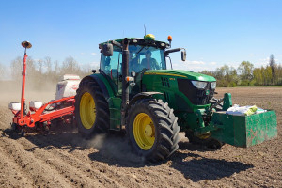 corn field fertilization