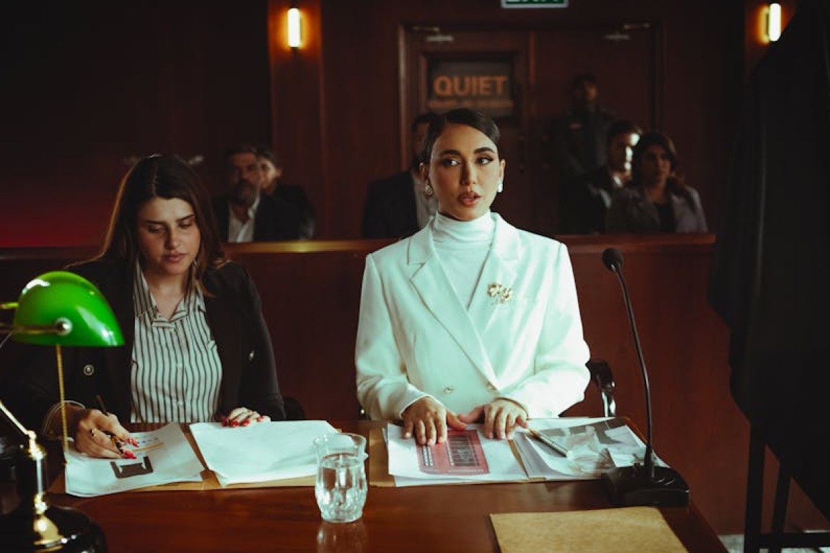 courtroom singer mugshot