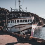 Robert Kranjec portrait