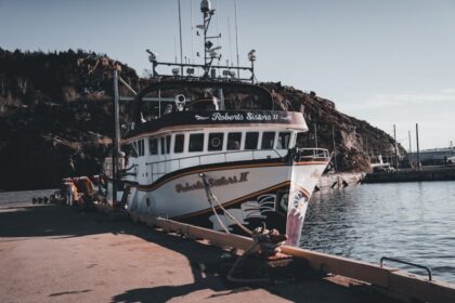 Robert Kranjec portrait