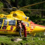 forest work accident