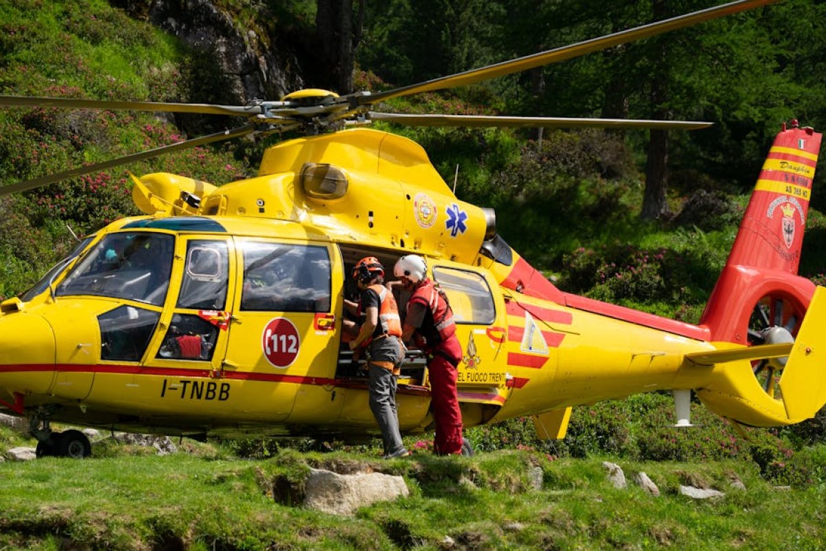 forest work accident