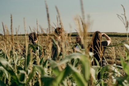field inspection agriculture