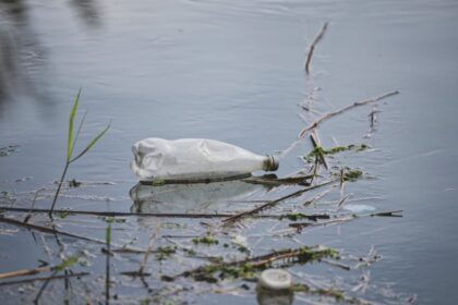 water contamination alert