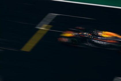 Max Verstappen portrait