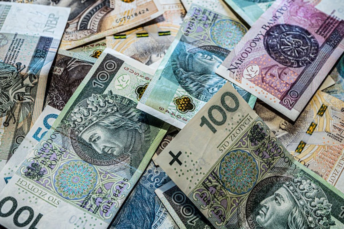 Polish zloty and euro banknotes