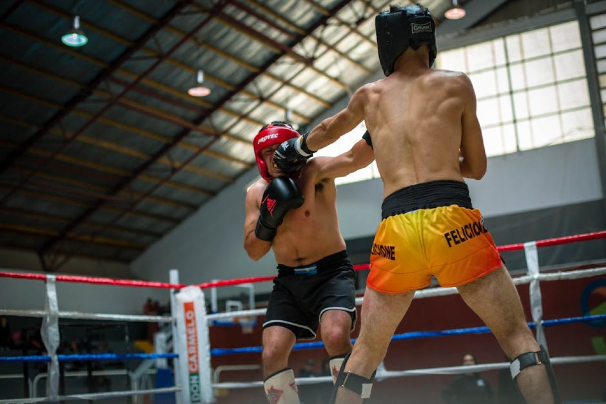 boxing ring fight