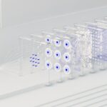 India election AI algorithm