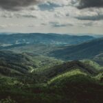 bieszczady forest bear attack