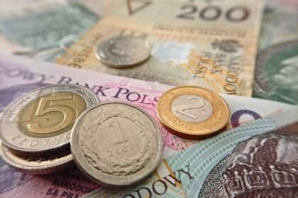 Polish zloty coins and euro banknotes