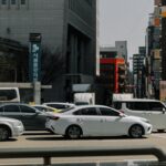 business forum poland korea