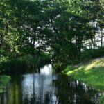 charity stream Poland