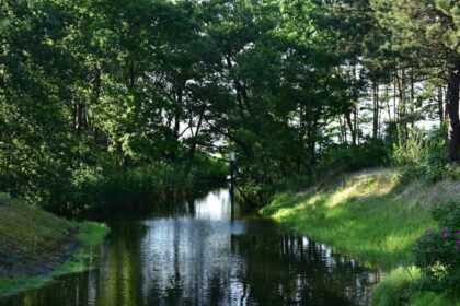 charity stream Poland