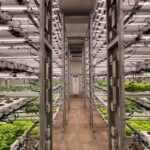 modern agriculture technology