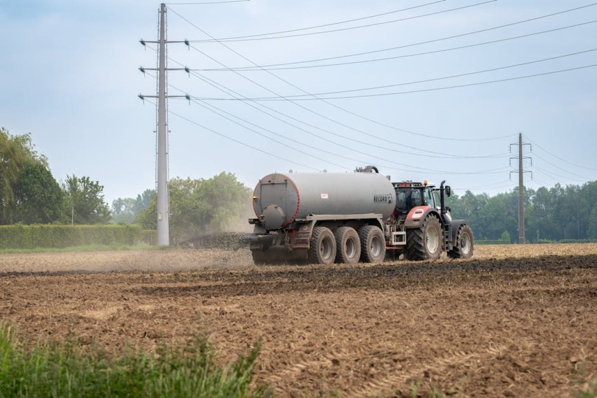 stolen fertilizers farm