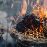 fire farm switzerland