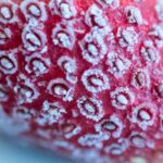 frozen strawberries Egypt