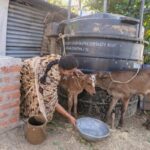 biogas plant agriculture