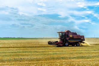 wheat field ukraine