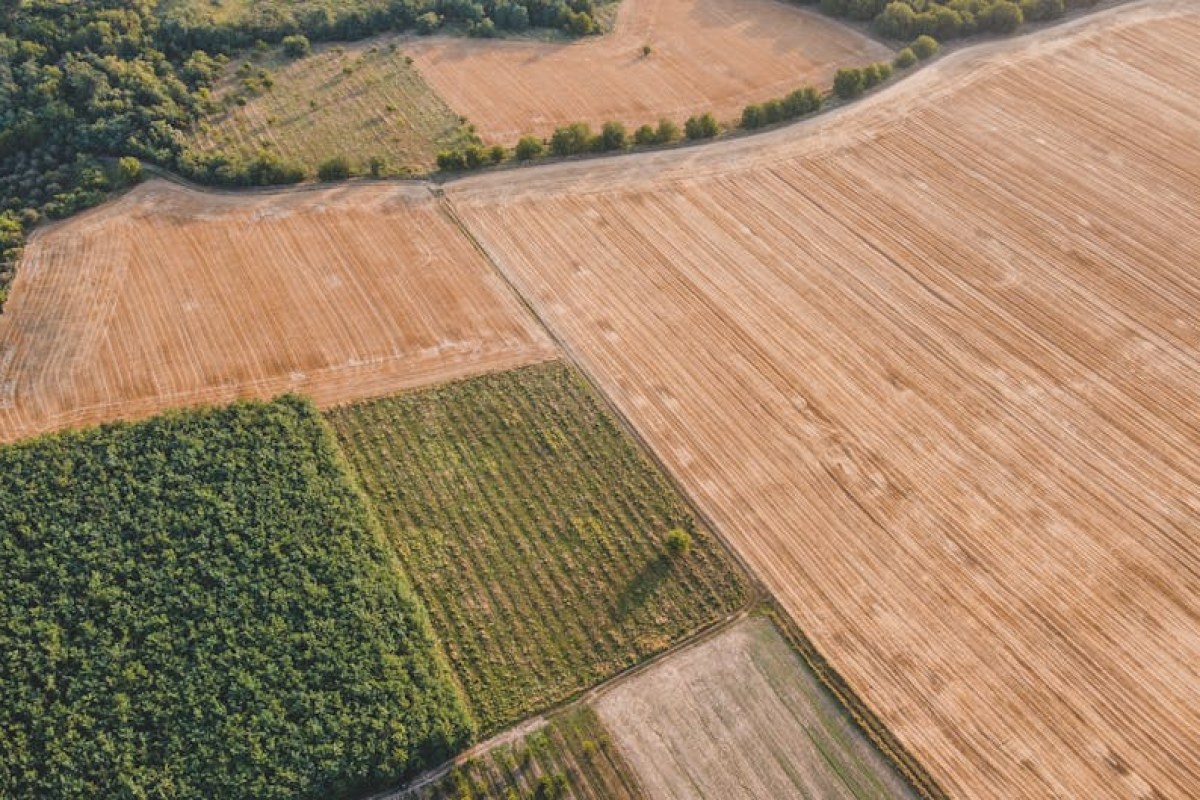 agricultural field insurance