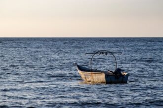 Marta Nawrocka portrait