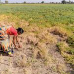 farmer field access problem