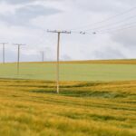 siewnik punktowy pole