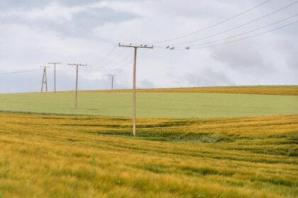 siewnik punktowy pole