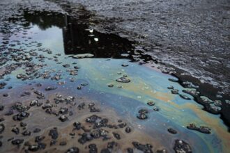 oil spill containment boom