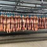 pork meat export Germany Philippines