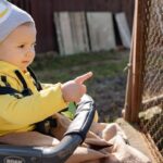 child safety harness