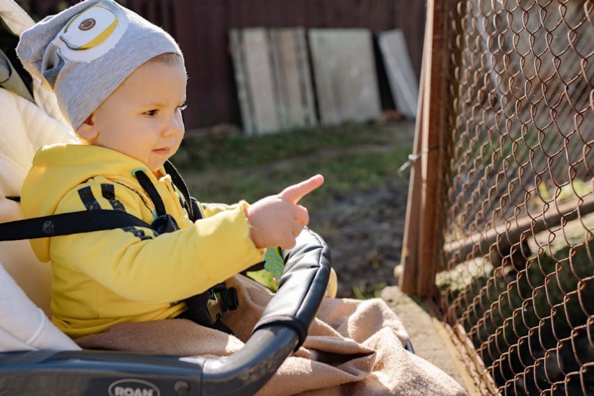 child safety harness