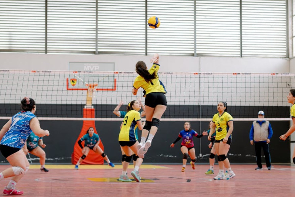 volleyball match final