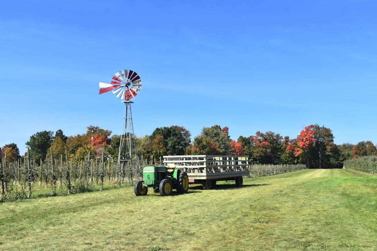 tractor fire orchard