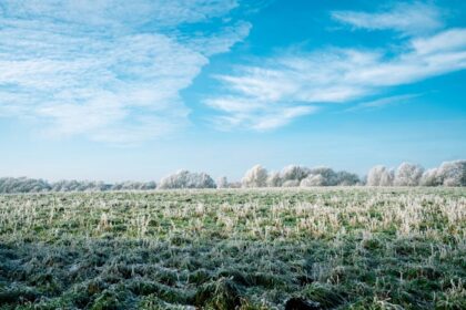 frosty field spring