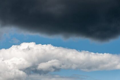 weather forecast