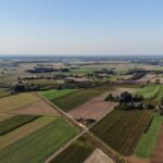dry field poland