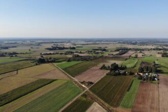 dry field poland