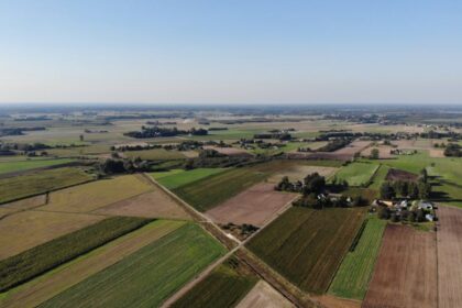 dry field poland