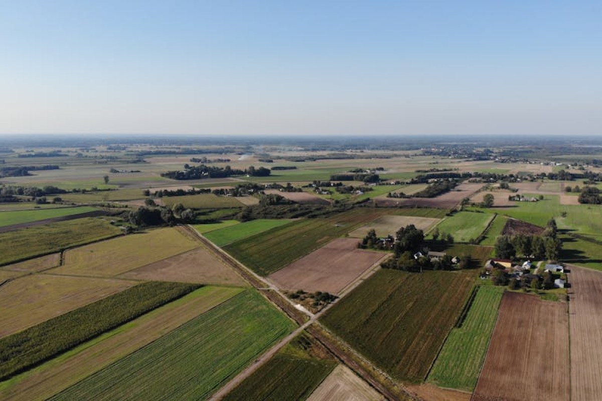 dry field poland