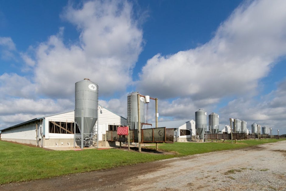 feed mill Czarnocin