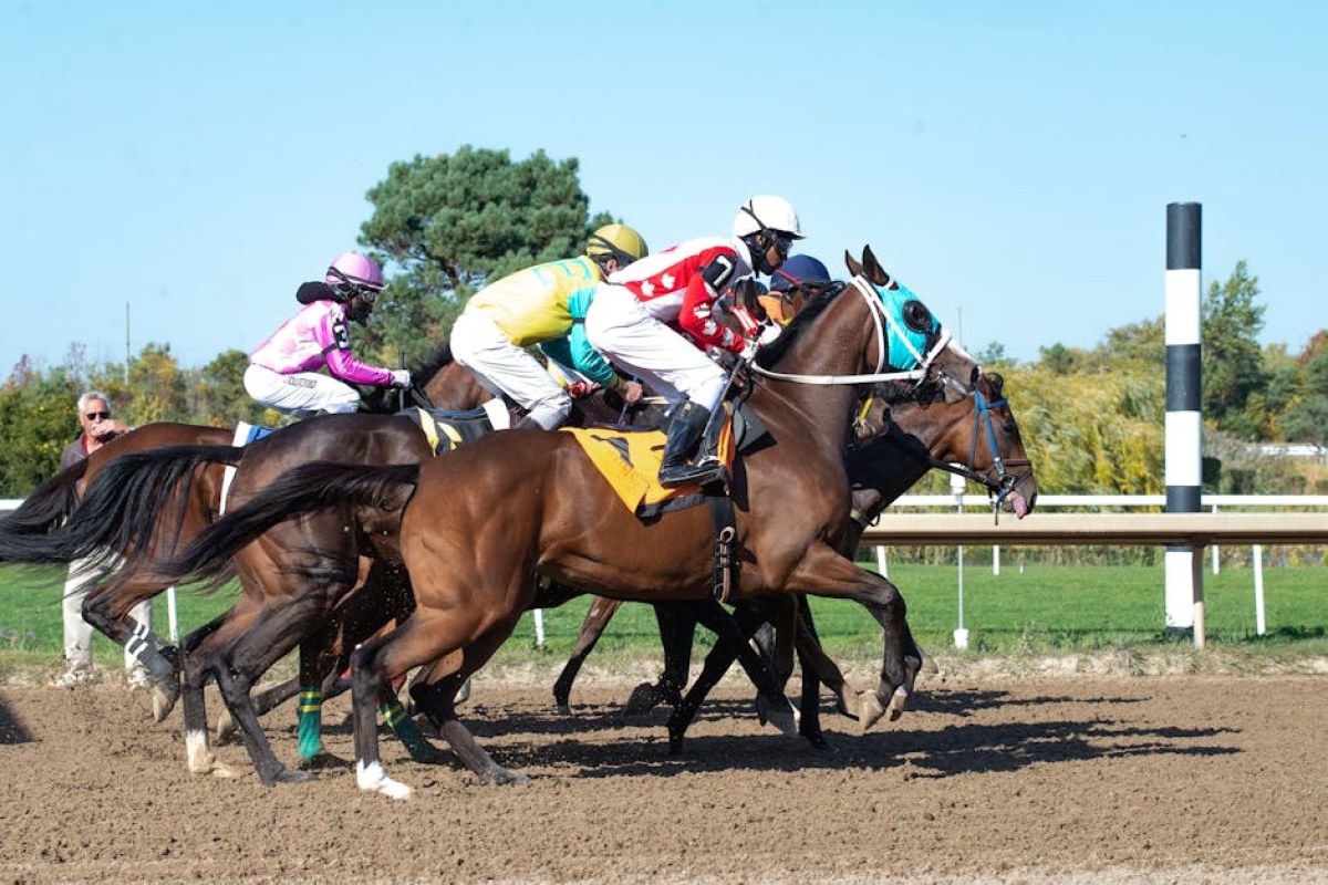Kentucky Derby horse racing