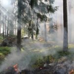 forest fire Beskidy