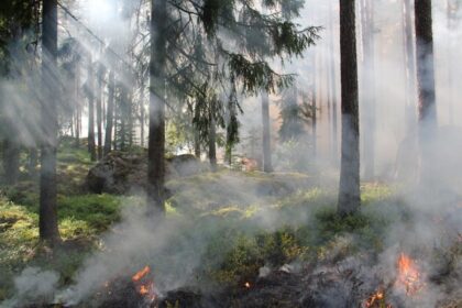 forest fire Beskidy