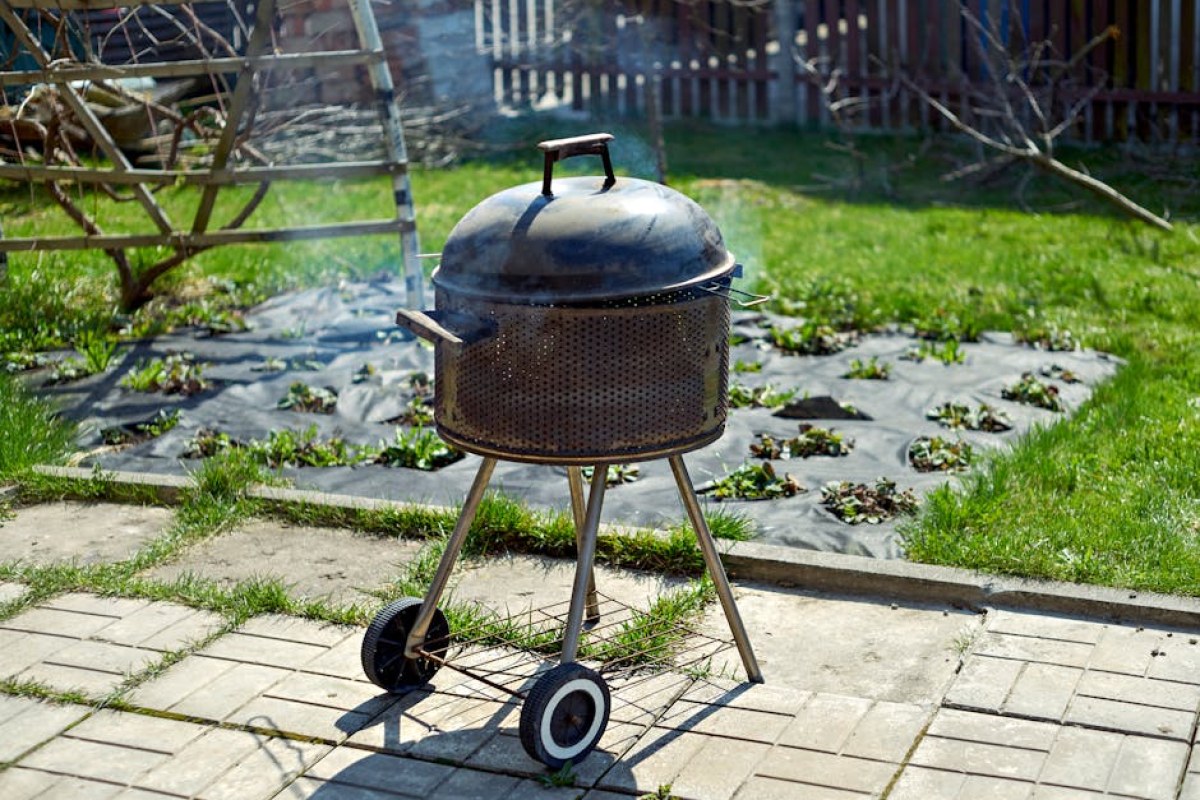 grill smoke analysis