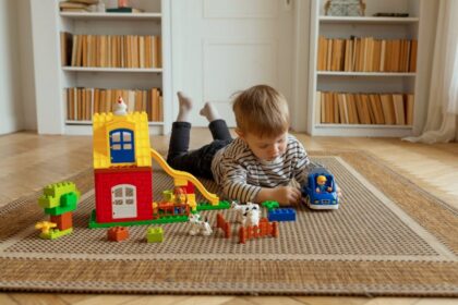 Lego family estate