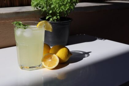 lemonade citrus sunburn