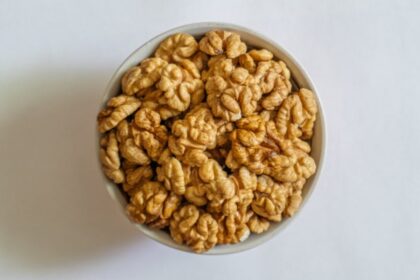 healthy brain food