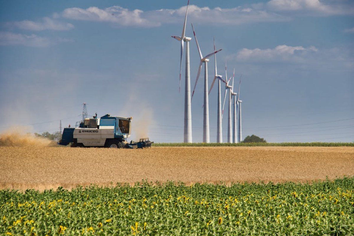 polish farm energy costs